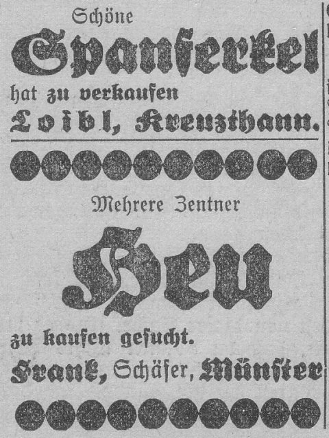 Das Bild 
kann leider nicht angezeigt werden.