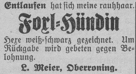 Das Bild 
kann leider nicht angezeigt werden.