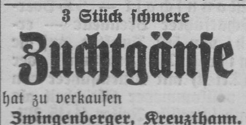 Das Bild 
kann leider nicht angezeigt werden.