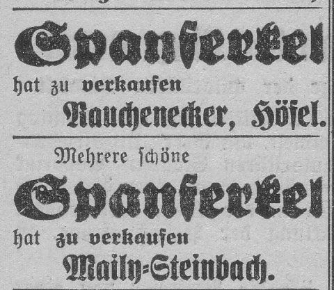 Das Bild 
kann leider nicht angezeigt werden.