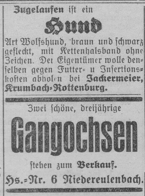 Das Bild 
kann leider nicht angezeigt werden.