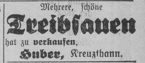 Das Bild 
kann leider nicht angezeigt werden.