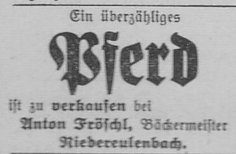 Da Bild 
kann leider nicht angezeigt werden.