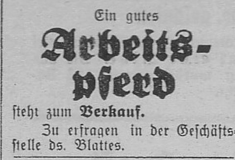 Das Bild 
kann leider nicht angezeigt werden.