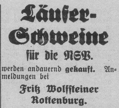 Das Bild 
kann leider nicht angezeigt werden.