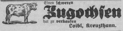 Das Bild 
kann leider nicht angezeigt werden.