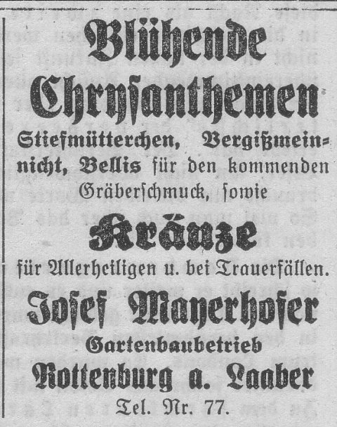 Das Bild 
kann leider nicht angezeigt werden.