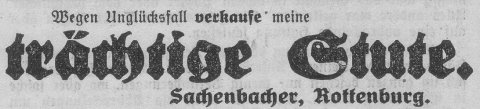 Das Bild 
kann leider nicht angezeigt werden.