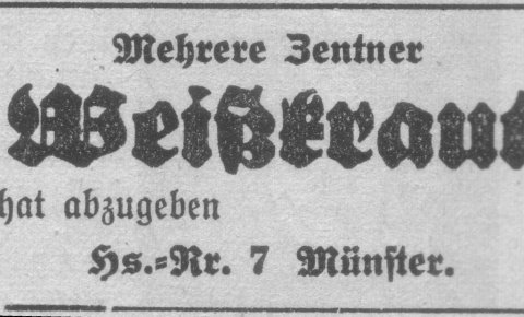 Das Bild 
kann leider nicht angezeigt werden.
