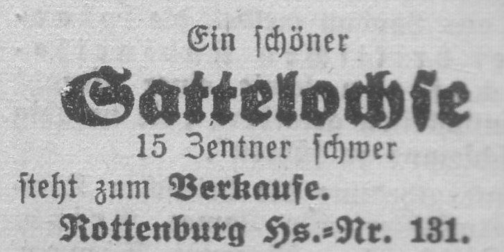 Das Bild 
kann leider nicht angezeigt werden.