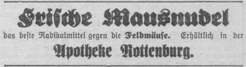 Das Bild 
kann leider nicht angezeigt werden.