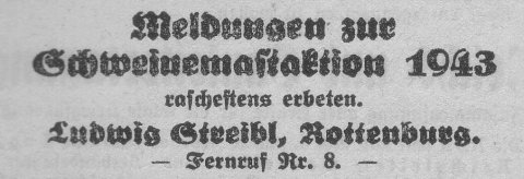 Das Bild 
kann leider nicht angezeigt werden.