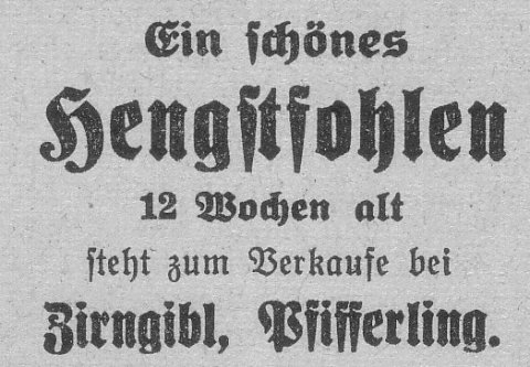 Das Bild 
kann leider nicht angezeigt werden.