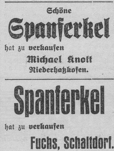 Das Bild 
kann leider nicht angezeigt werden.