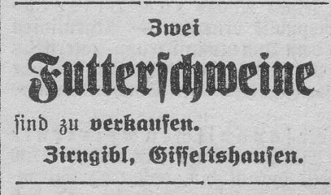 Das Bild 
kann leider nicht angezeigt werden.