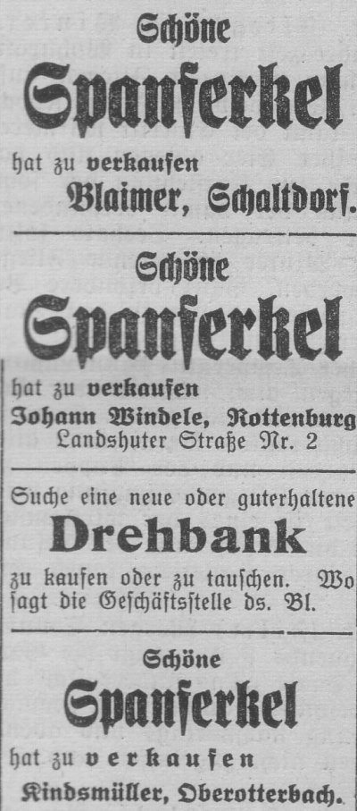 Das Bild 
kann leider nicht angezeigt werden.