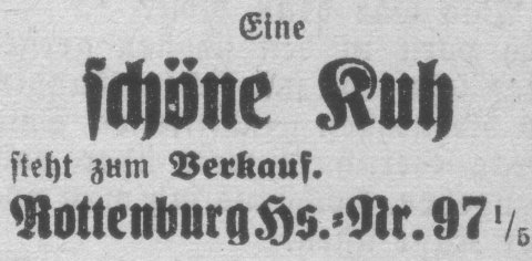 Da Bild 
kann leider nicht angezeigt werden.