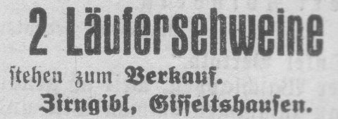Das Bild 
kann leider nicht angezeigt werden.