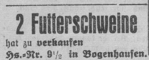 Das Bild 
kann leider nicht angezeigt werden.