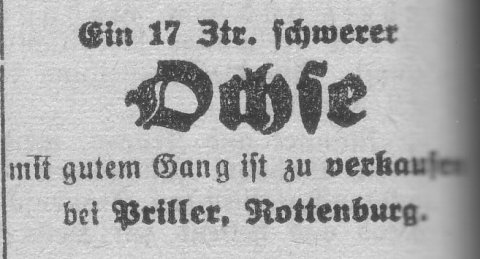 Das Bild 
kann leider nicht angezeigt werden.