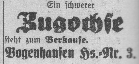 Das Bild 
kann leider nicht angezeigt werden.