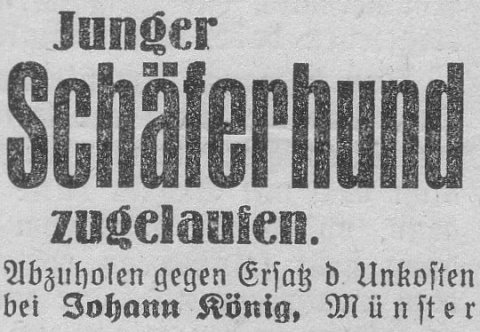 Das Bild 
kann leider nicht angezeigt werden.