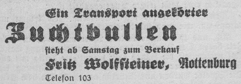 Das Bild 
kann leider nicht angezeigt werden.