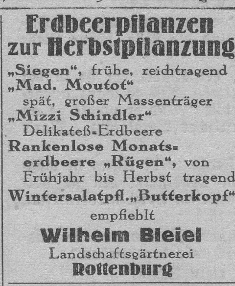 Das Bild 
kann leider nicht angezeigt werden.