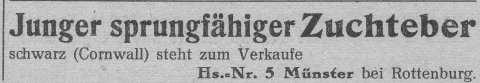 Das Bild 
kann leider nicht angezeigt werden.
