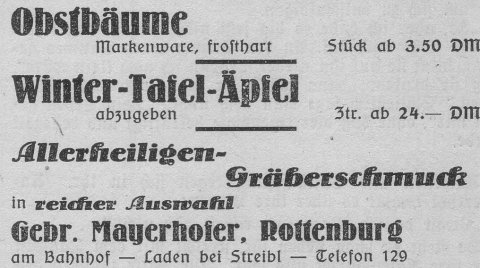 Das Bild 
kann leider nicht angezeigt werden.