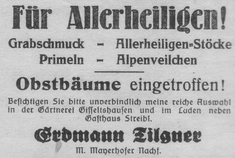 Das Bild 
kann leider nicht angezeigt werden.