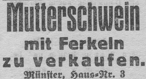 Das Bild 
kann leider nicht angezeigt werden.