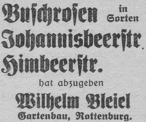 Das Bild 
kann leider nicht angezeigt werden.
