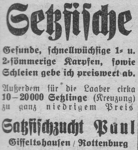 Das Bild 
kann leider nicht angezeigt werden.