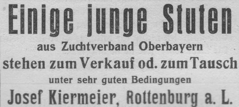 Das Bild 
kann leider nicht angezeigt werden.