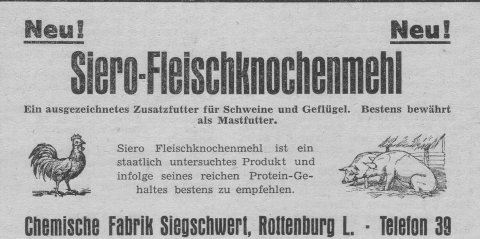 Das Bild 
kann leider nicht angezeigt werden.
