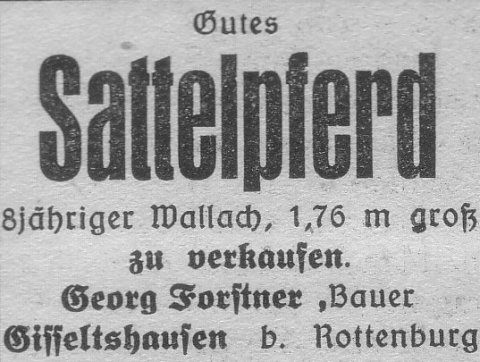 Das Bild 
kann leider nicht angezeigt werden.