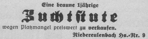 Das Bild 
kann leider nicht angezeigt werden.