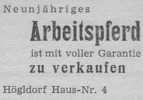 Das Bild 
kann leider nicht angezeigt werden.