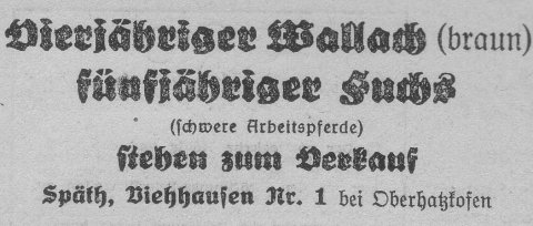 Das Bild 
kann leider nicht angezeigt werden.