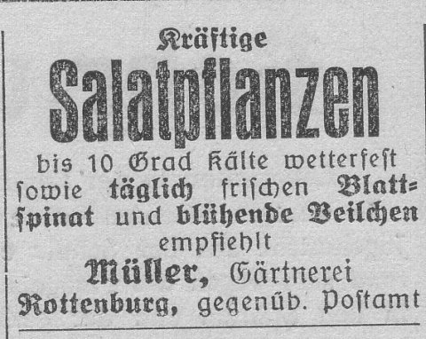 Das Bild 
kann leider nicht angezeigt werden.