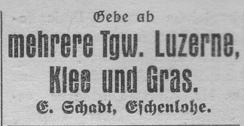 Das Bild 
kann leider nicht angezeigt werden.