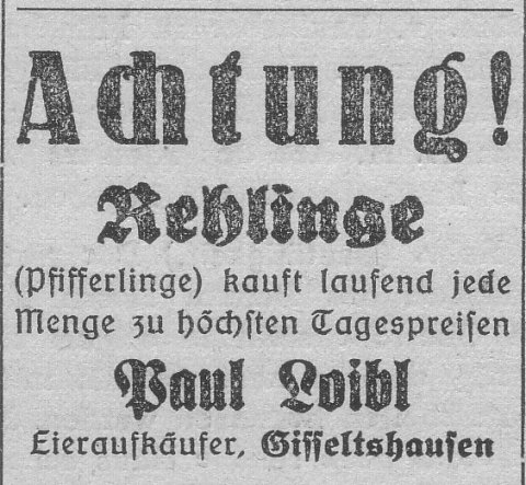 Das Bild 
kann leider nicht angezeigt werden.