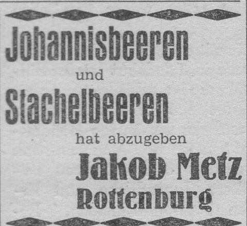 Das Bild 
kann leider nicht angezeigt werden.