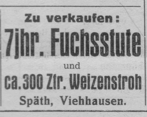 Das Bild 
kann leider nicht angezeigt werden.