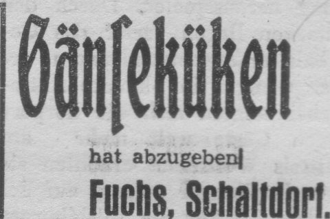 Das Bild 
kann leider nicht angezeigt werden.