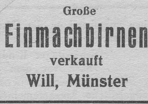 Das Bild 
kann leider nicht angezeigt werden.