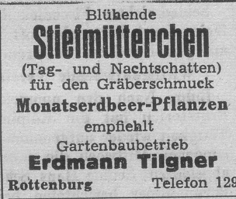 Das Bild 
kann leider nicht angezeigt werden.