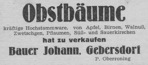 Das Bild 
kann leider nicht angezeigt werden.