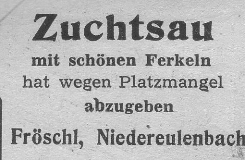 Das Bild 
kann leider nicht angezeigt werden.